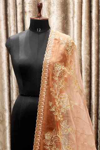 Rust and Peach Double Dye Hand Work Dupatta-1526