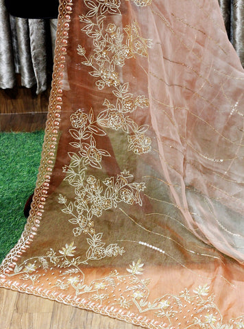 Rust and Peach Double Dye Hand Work Dupatta-1526