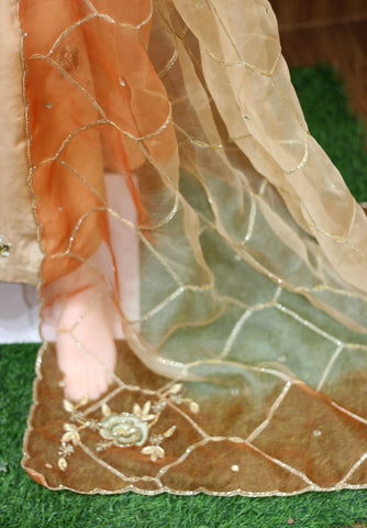 Peach Full Suit With Organza Dupatta