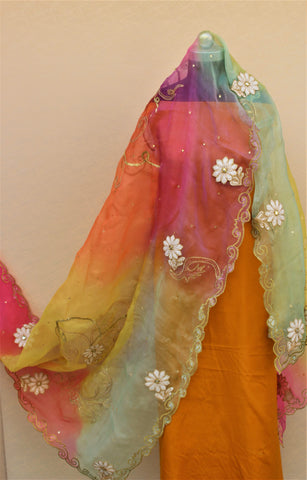 Tie and Dye Multi Colour Organza Dupatta