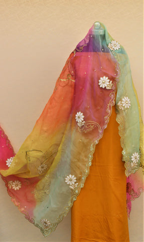 Tie and Dye Multi Colour Organza Dupatta
