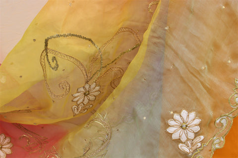 Tie and Dye Multi Colour Organza Dupatta