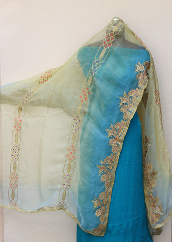 Lemon Green and Firoji Organza Dupatta