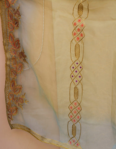 Lemon Green and Firoji Organza Dupatta