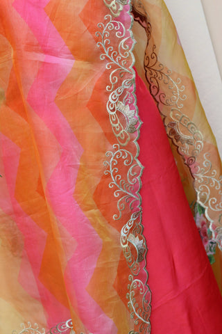 Tie and Dye Organza Dupatta