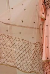 Peach Full Dress With Same Colour Net Dupatta